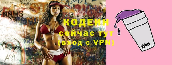 мет Сясьстрой