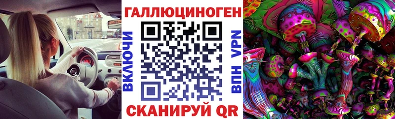 Псилоцибиновые грибы Magic Shrooms  хочу   Новоульяновск 